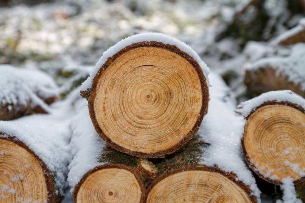 logs covered in snow used as fuel in boilers as a part of biomass boiler maintenance and operation