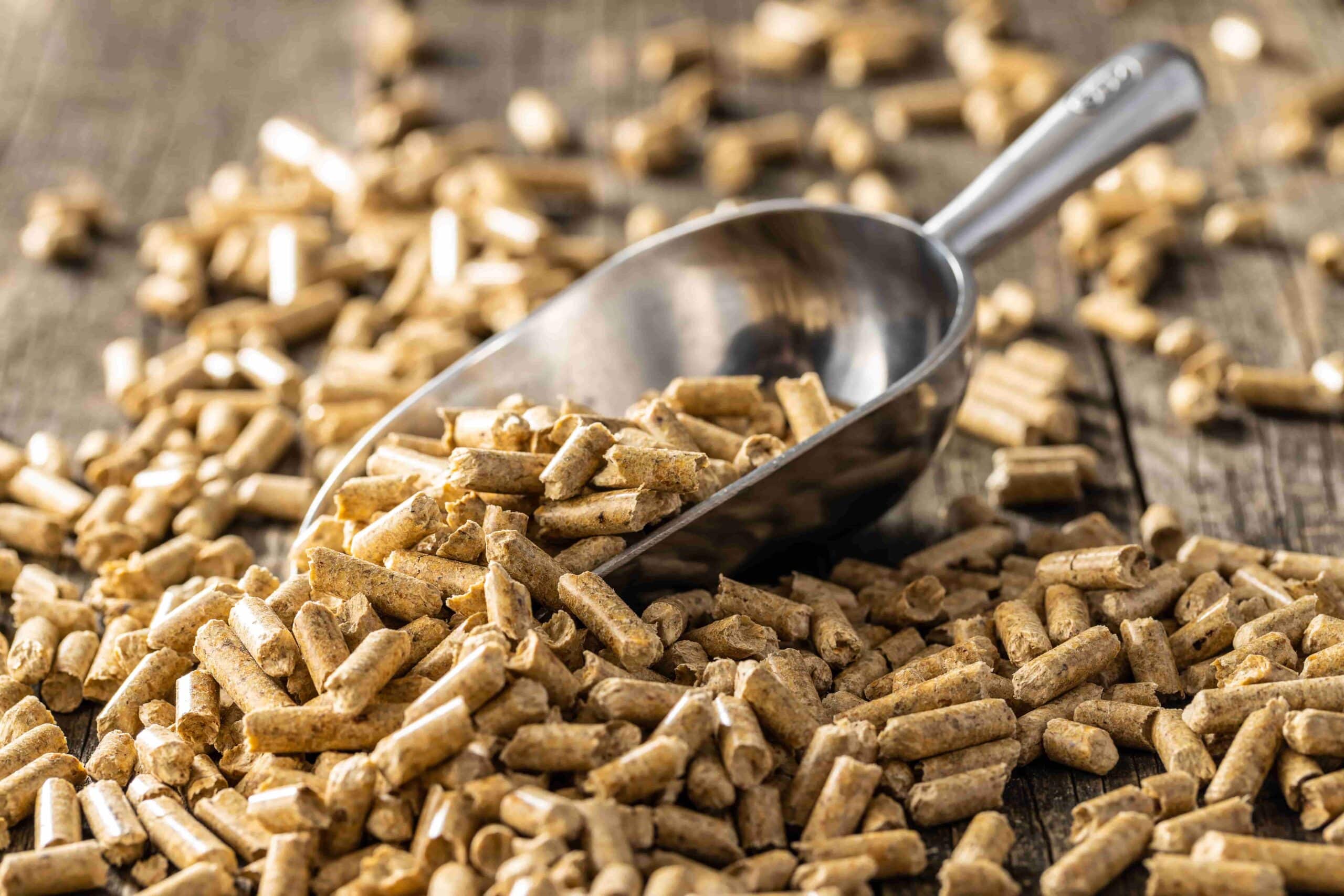 The Pros and Cons of Wood Chips or Wood Pellets for Biomass Boilers
